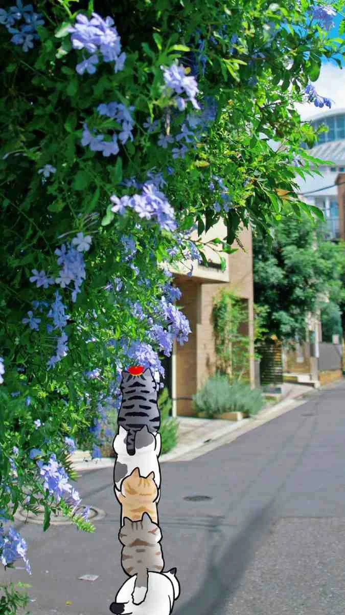 Ảnh nền iPhone 15 hài hước cute