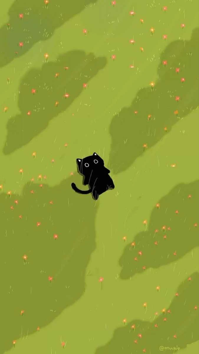 Chú mèo đen nằm giữa bãi cỏ