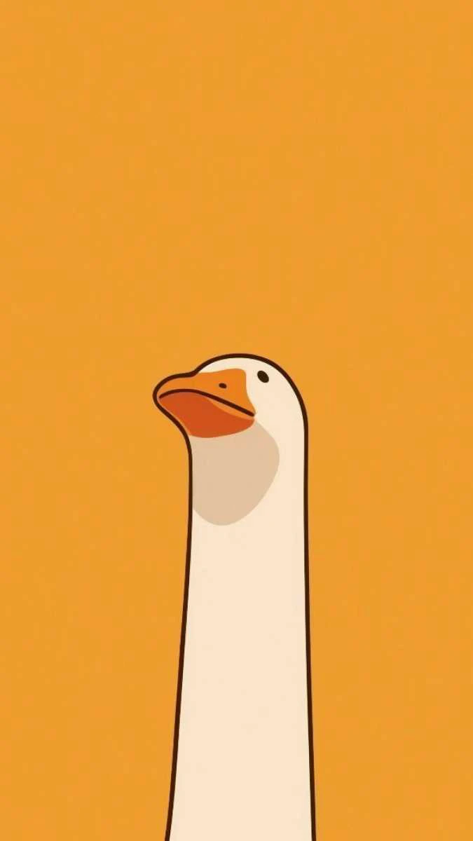 Ảnh nền chú vịt cổ dài