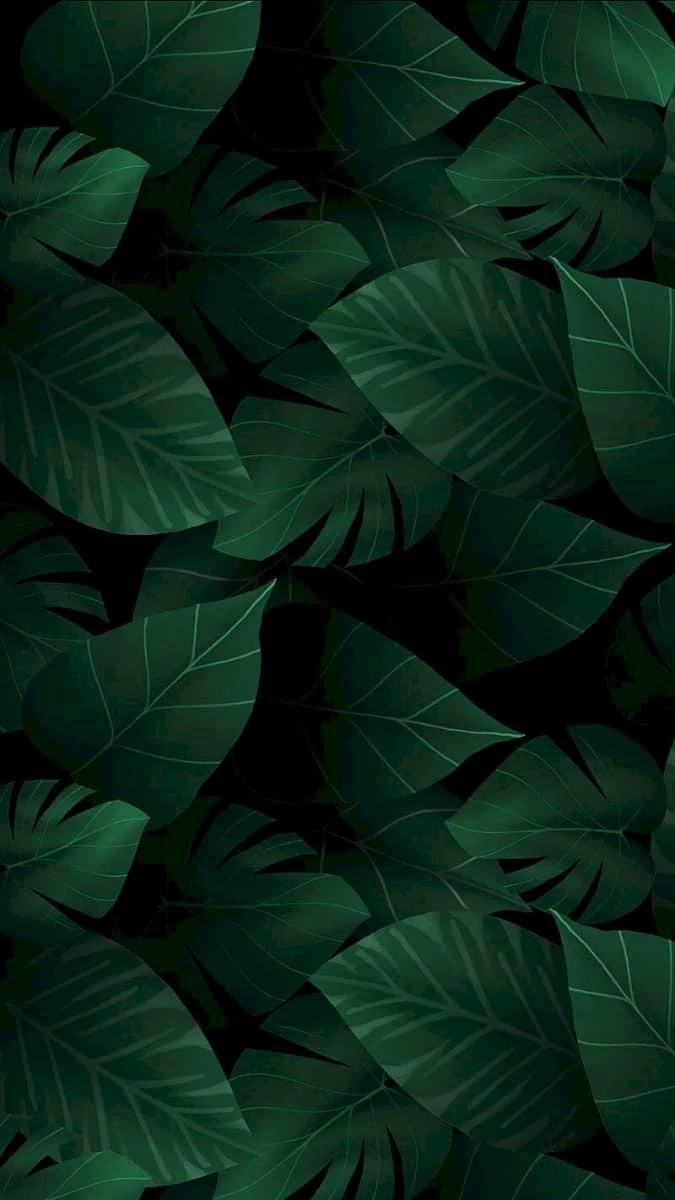 Hình nền iPhone 15 Plus màu xanh lá