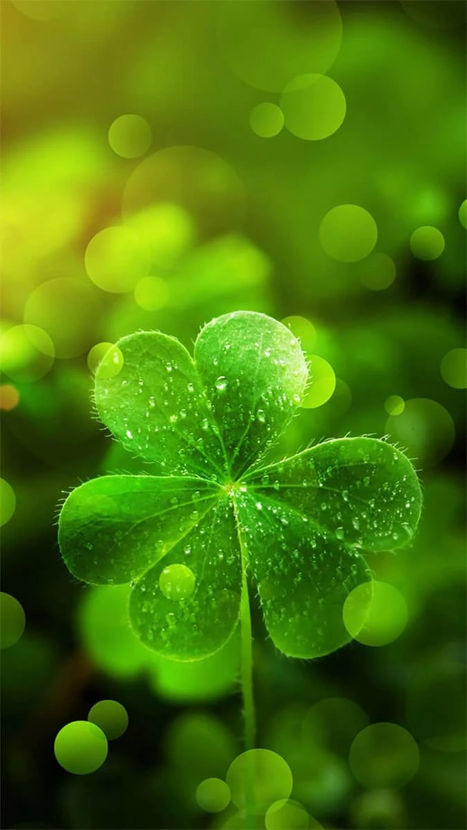 Hình nền iPhone 15 Plus màu xanh lá mới