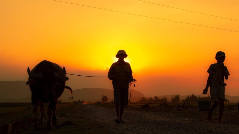 hinh-anh-binh-yen-lang-que-tinh-lang-1