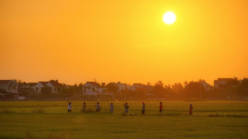 hinh-anh-binh-yen-lang-que-tinh-lang-8