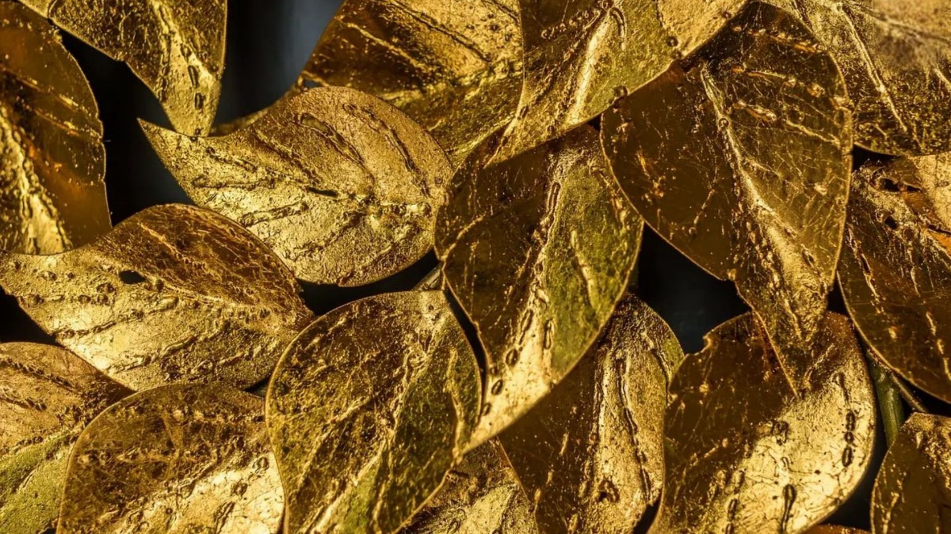 hinh nen la nguyet que vang