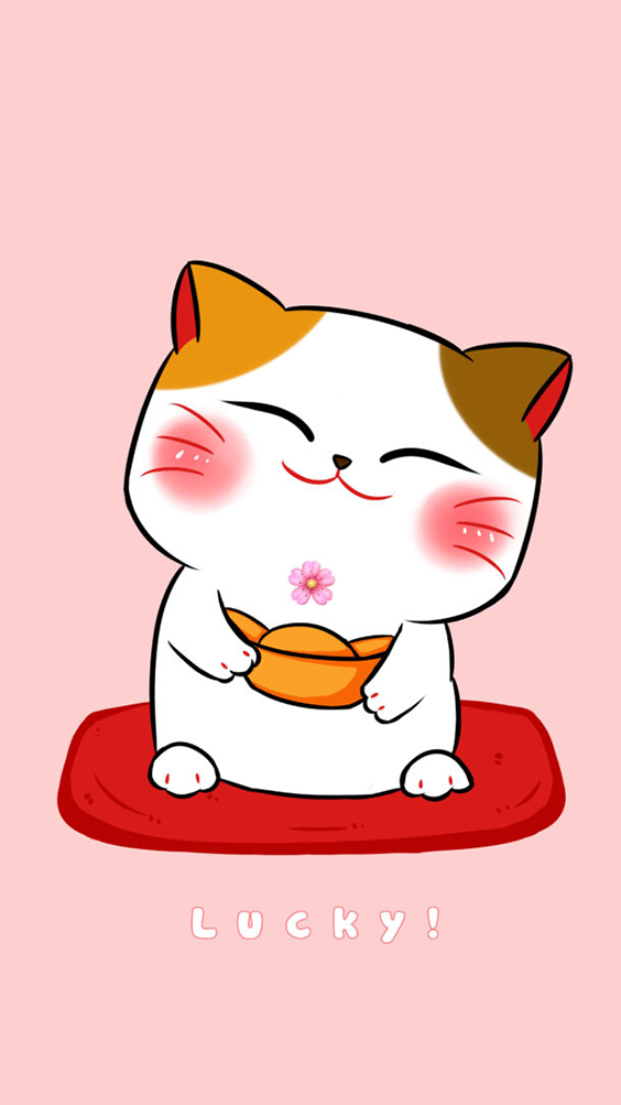 hình nền mèo thần tài