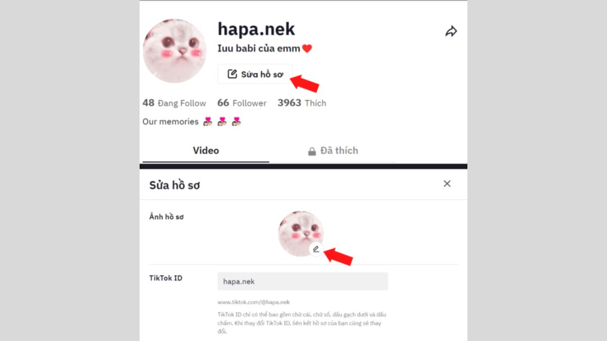 cách đổi avatar TikTok bằng ảnh trên máy tính bước 3