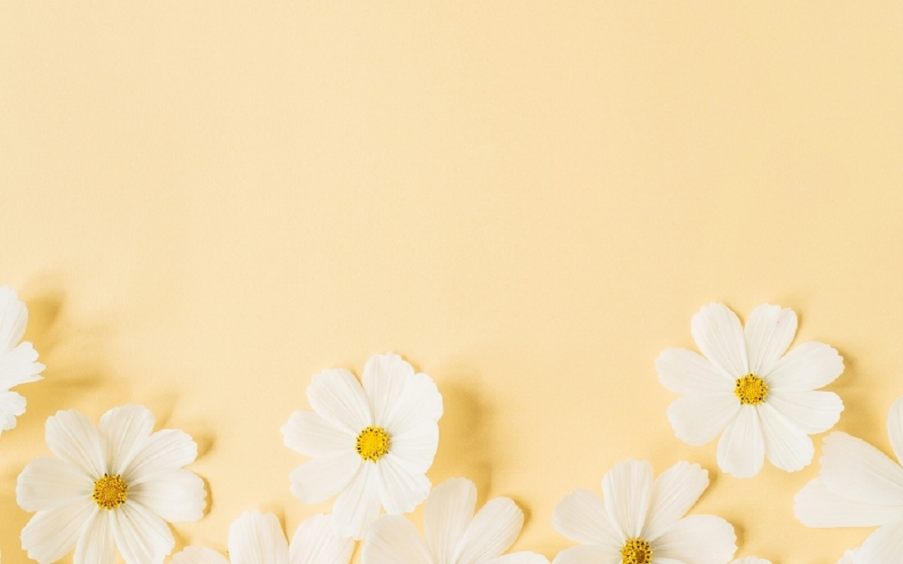 hình nền powerpoint màu vàng nhạt