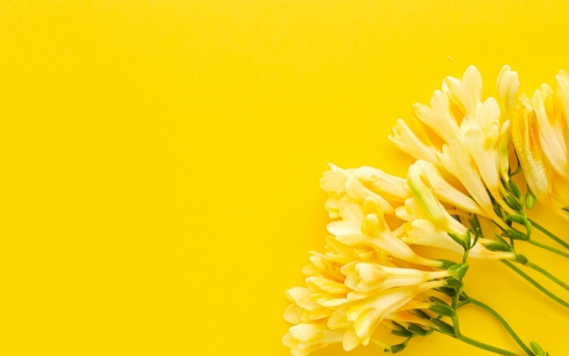 Hình nền màu vàng