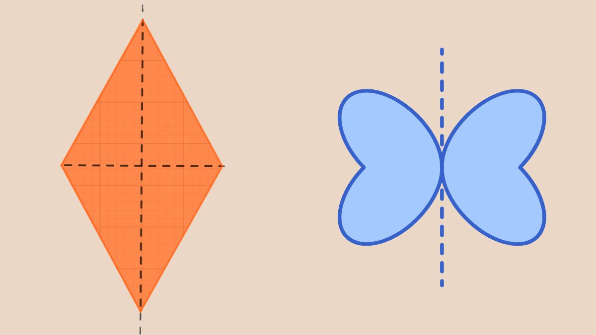Trục đối xứng là gì? Các bài tập ví dụ về trục đối xứng