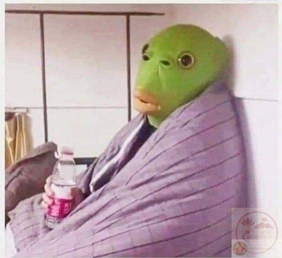 Nhìn câu trả lời kia mà lòng không khỏi hoài nghi sự thật phía sau