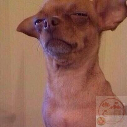 Một câu hỏi đơn giản cũng khiến người ta rơi vào vòng xoáy nghi ngờ