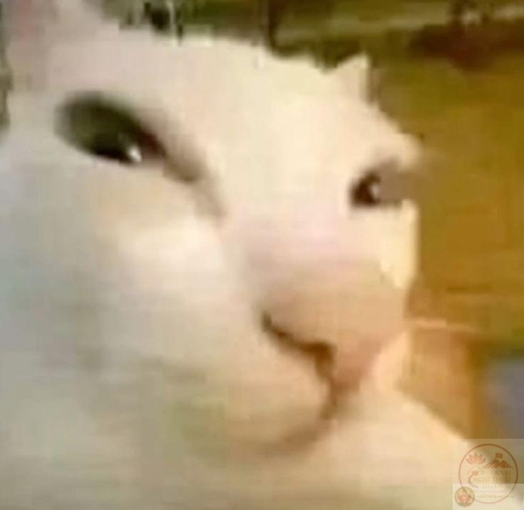 Một chi tiết bất thường trong câu chuyện khơi dậy cảm giác nghi ngờ khó tả