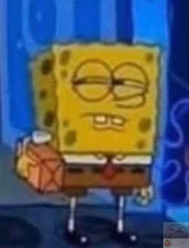 Một khoảnh khắc tưởng chừng bình thường nhưng bỗng gợi lên nghi ngờ nhân sinh