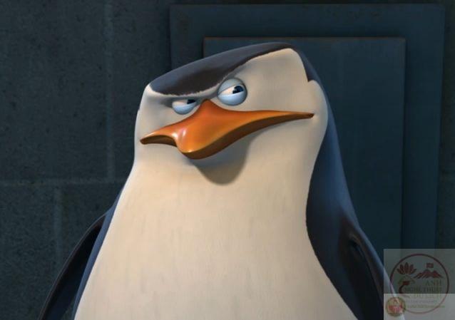 Đôi khi sự thật quá lạ lùng làm dấy lên làn sóng hoài nghi nhân sinh