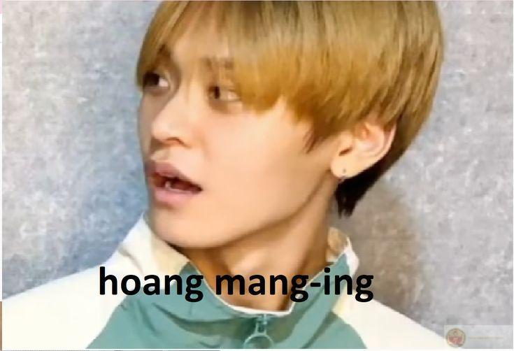 Ảnh chế hoang mang độc đáo khiến mọi bình luận mạng xã hội thêm phần sinh động