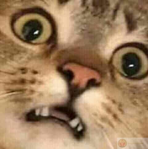 Meme hoang mang buồn cười thường được dùng trong những tình huống thiếu logic hài hước