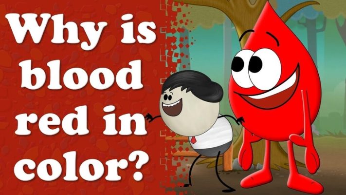 Vì sao máu có màu đỏ? Những yếu tố nào ảnh hưởng đến màu sắc của máu?