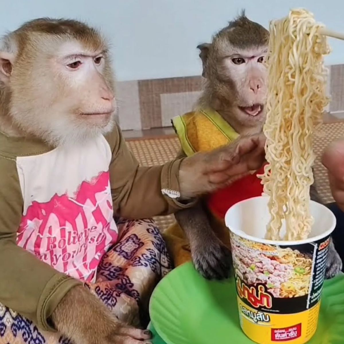 Khỉ meme biểu tượng Gen Z