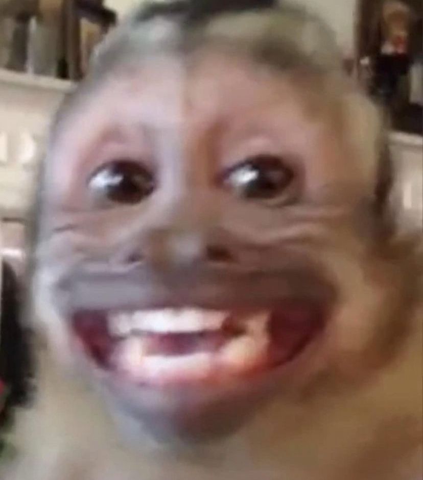 Meme con khỉ troll Gen Z