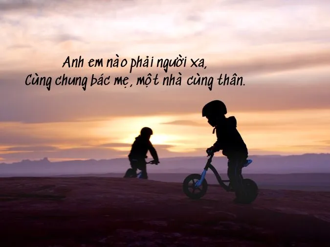 khon-ngoan-doi-dap-nguoi-ngoai-ga-cung-mot-me-cho-hoai-da-nhau-voh-3