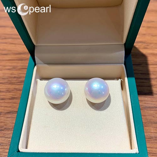 Hoa tai ngọc trai nụ