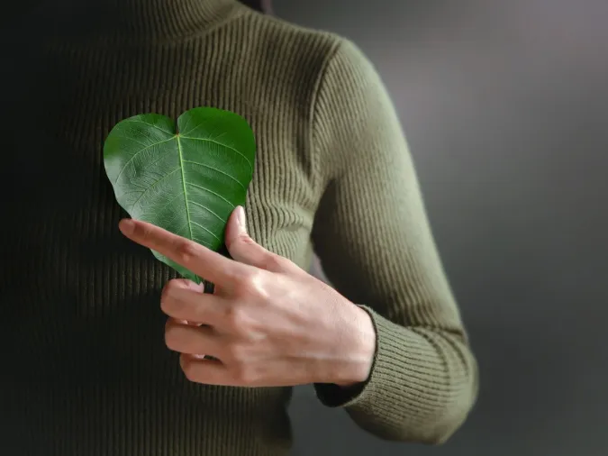 Lá diêu bông là gì? Nguồn gốc và ý nghĩa của lá diêu bông 3