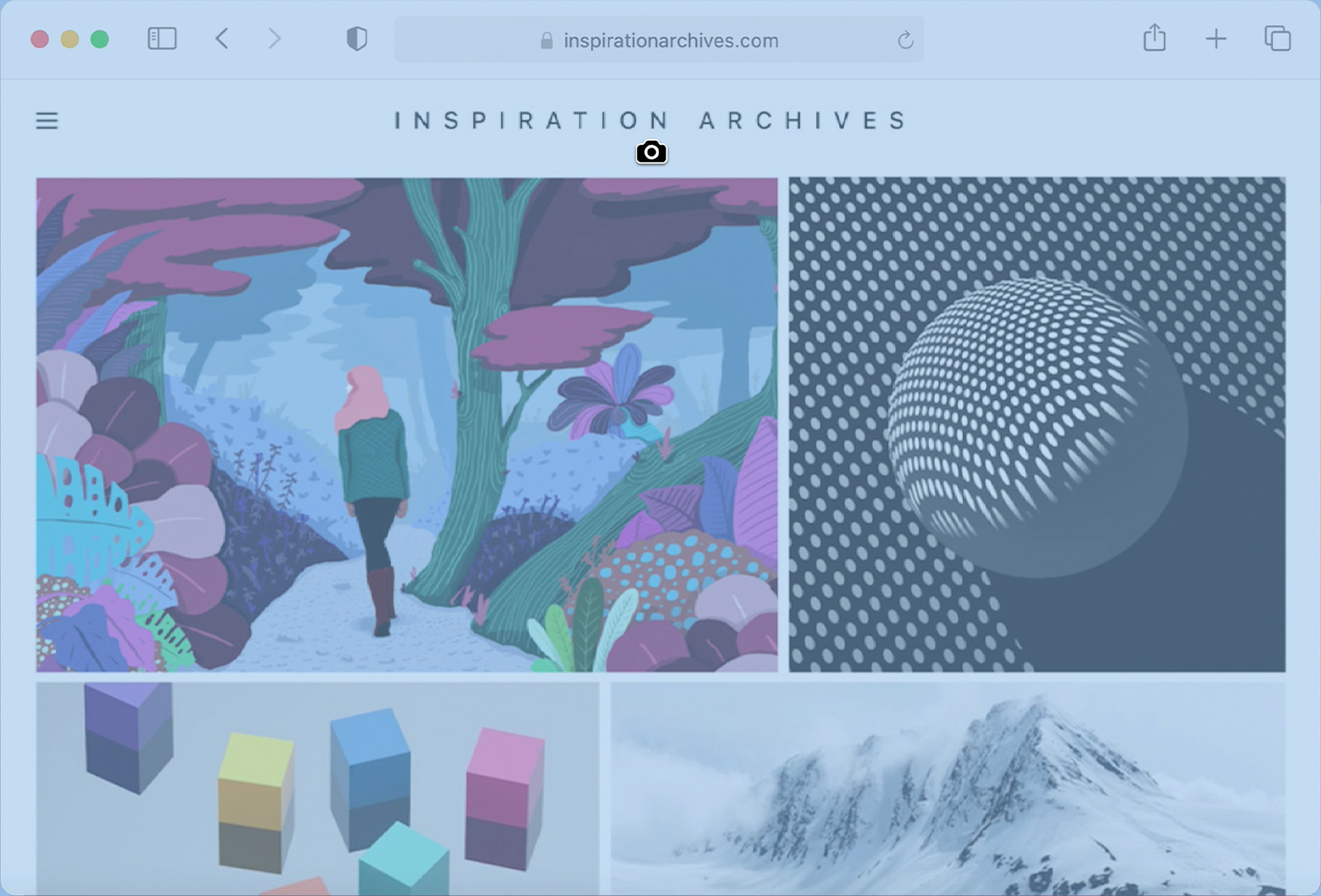 Safari window showing the camera icon before capturing the window