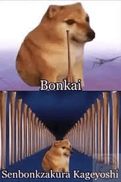 Bonk Meme - Bonk - Discover & Share GIFs