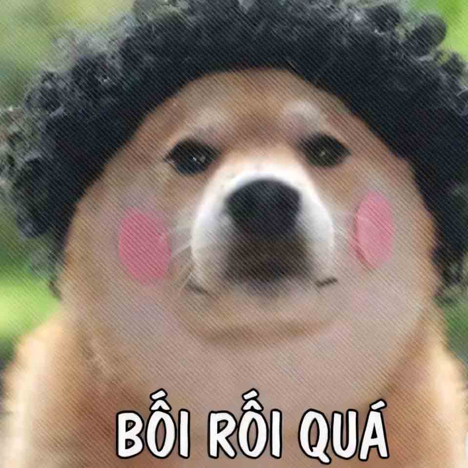 meme anh con cho buon 960px 960px avatar 1