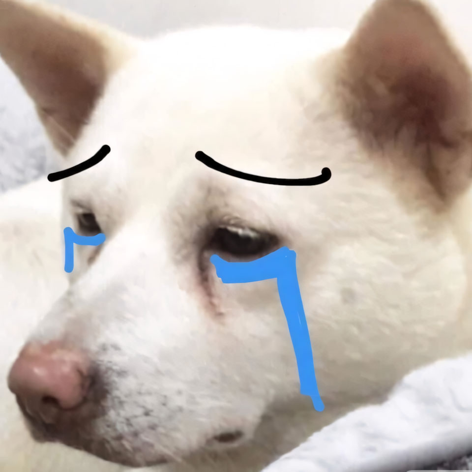 meme anh con cho buon 960px 960px avatar 5