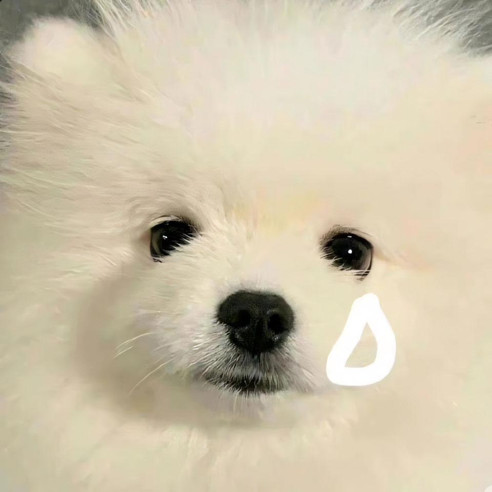 meme anh con cho buon 960px 960px avatar 6