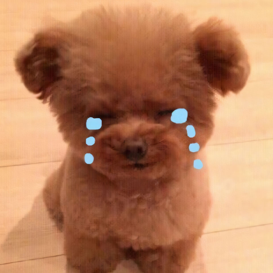 meme anh con cho buon 960px 960px avatar 7