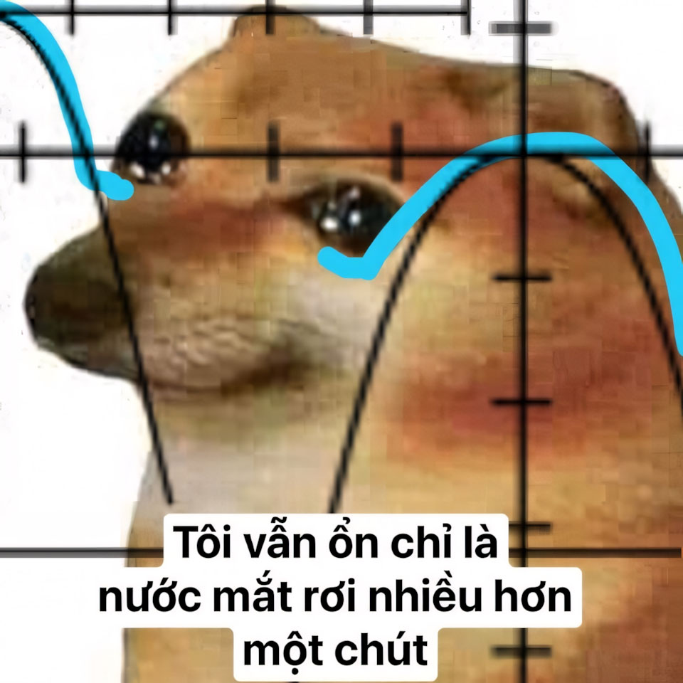 meme anh con cho buon 960px 960px avatar 9