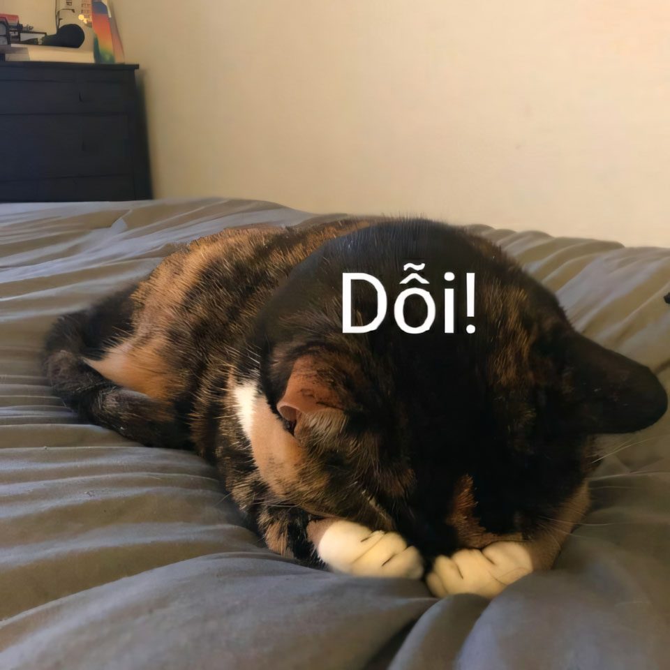 meme anh con cho buon 960px 960px avatar 10