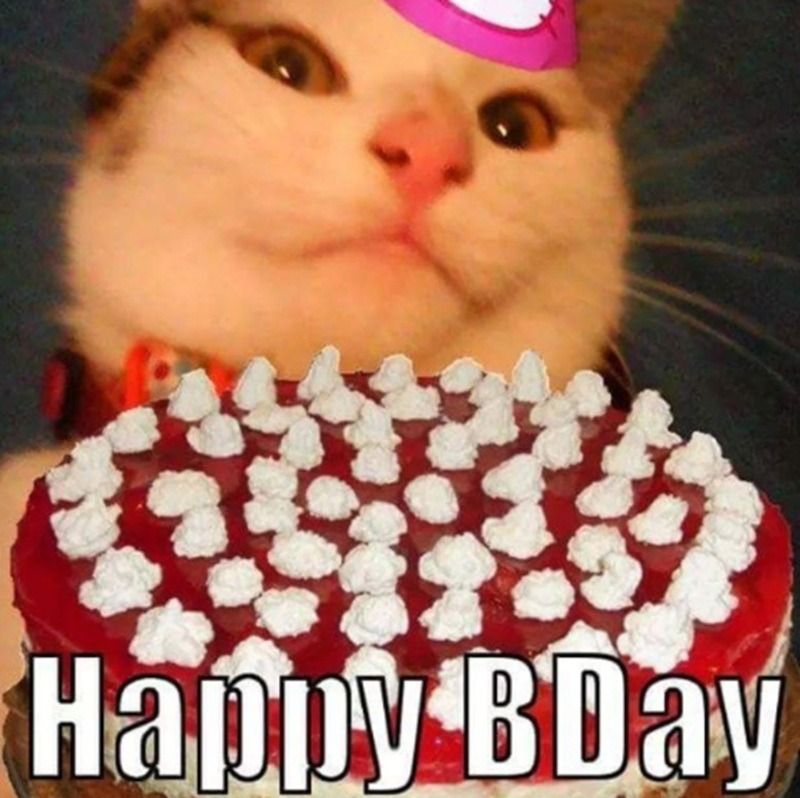 Meme chúc mừng sinh nhật dễ thương
