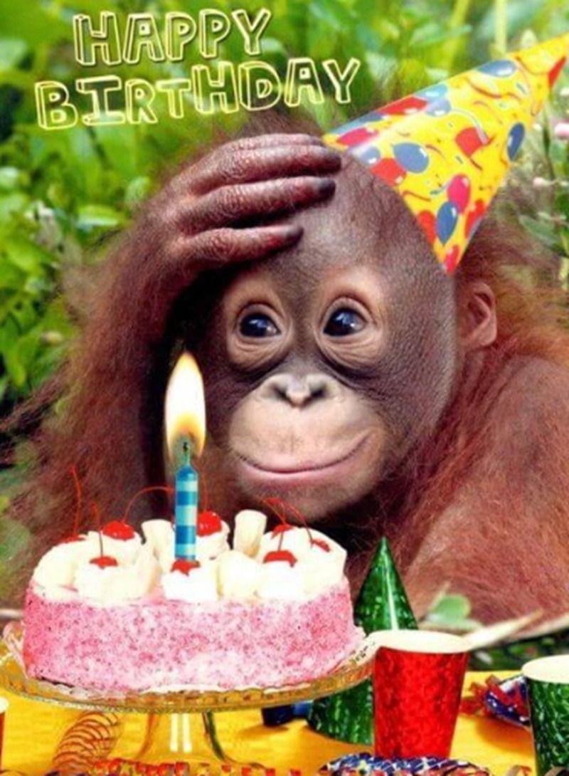 Meme chúc mừng sinh nhật độc đáo/sáng tạo