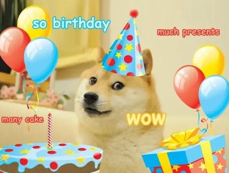 Meme chúc mừng sinh nhật hình động vật