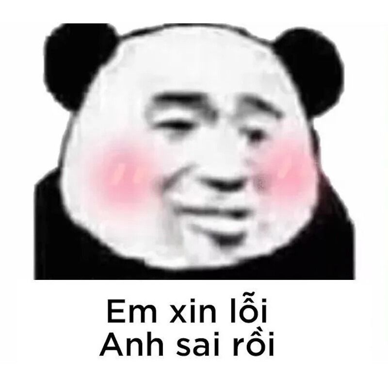 Các meme gấu trúc cảm xúc mạnh