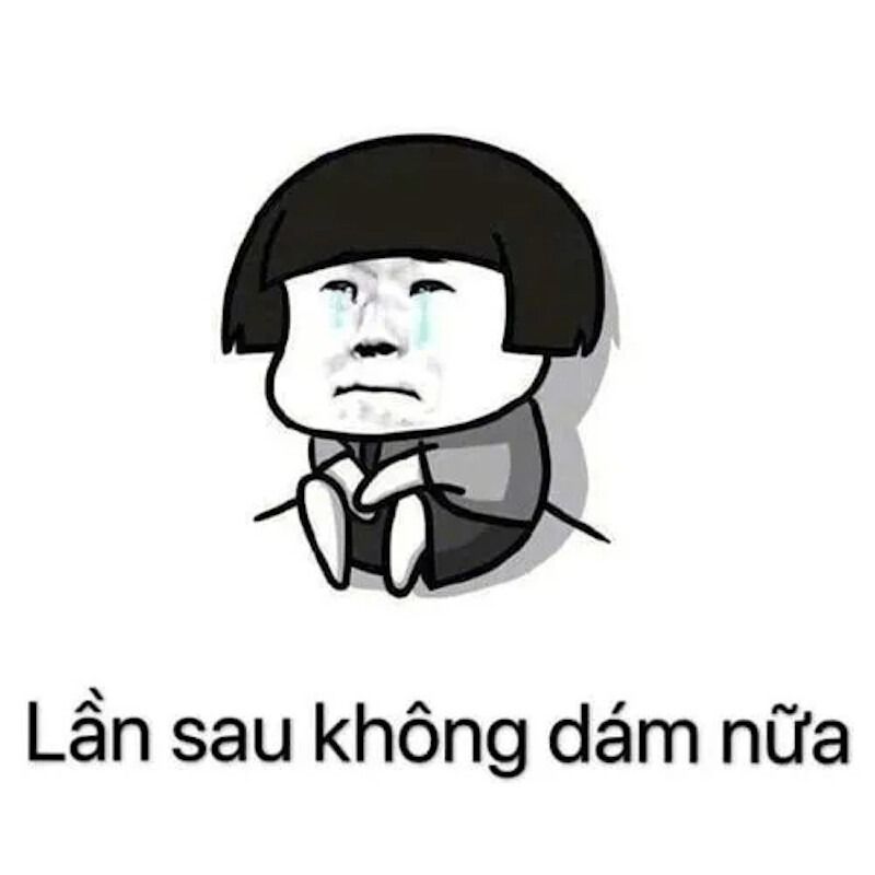 Meme gấu trúc hiện đại