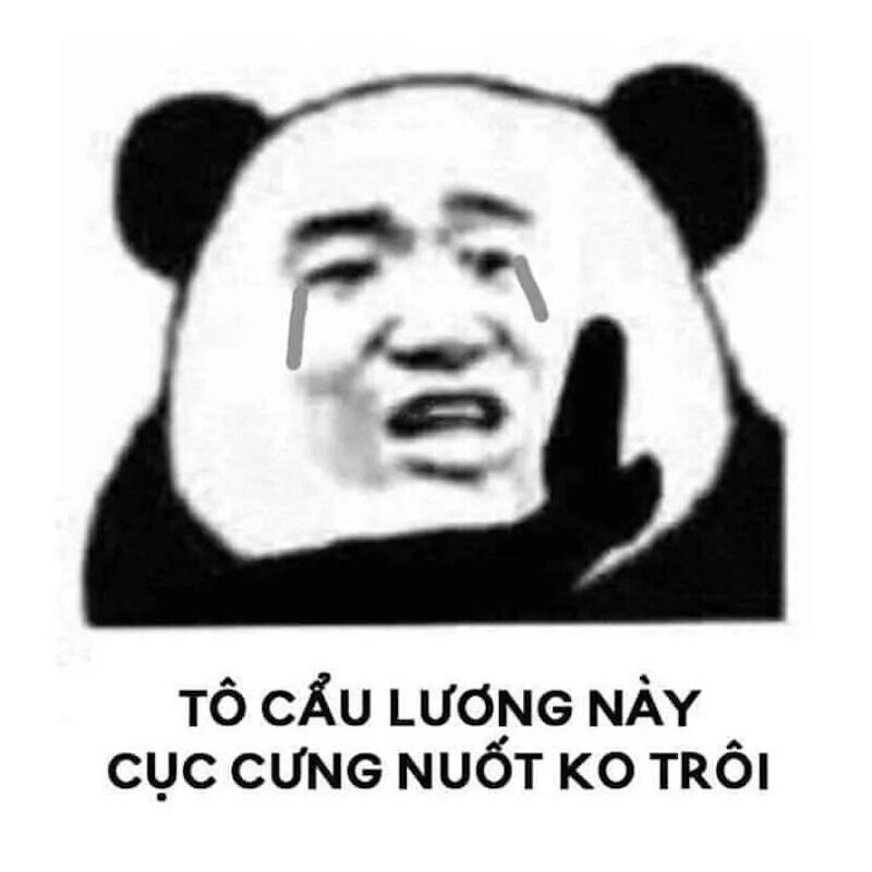 Meme gấu trúc hành động đáng yêu