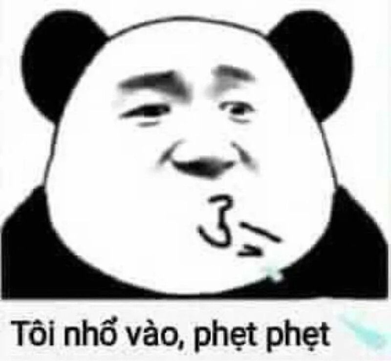 Meme gấu trúc hành động đáng yêu