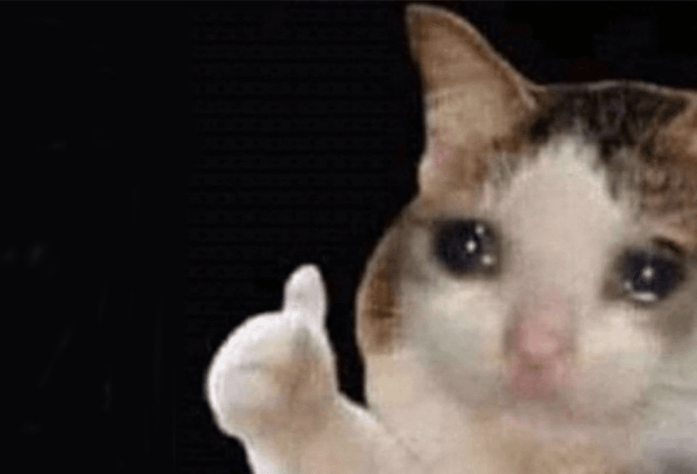 mẫu meme mèo khóc like