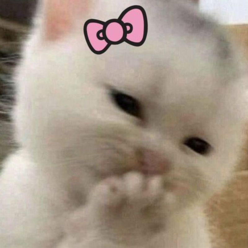 Giả vờ không quan tâm nhưng luôn xuất hiện đúng lúc