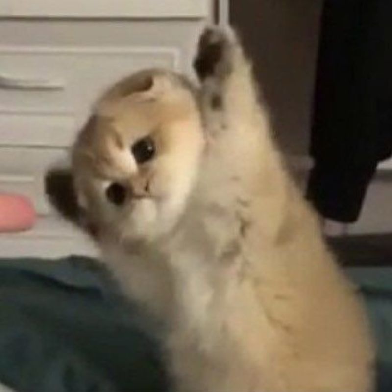 Biết không được phép nhưng vẫn cố làm thử