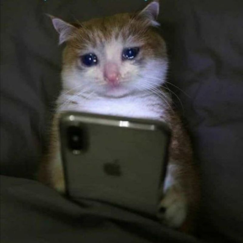 Nằm bất động nhưng trong đầu tính đủ trò