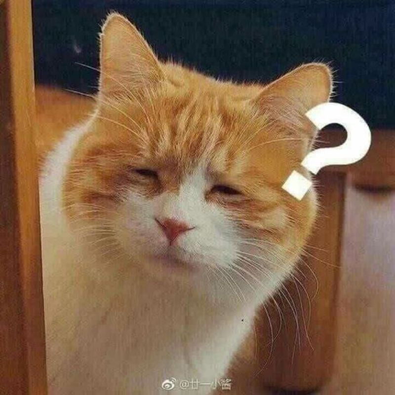 Chơi xong đồ mới rồi lại quay về hộp cũ