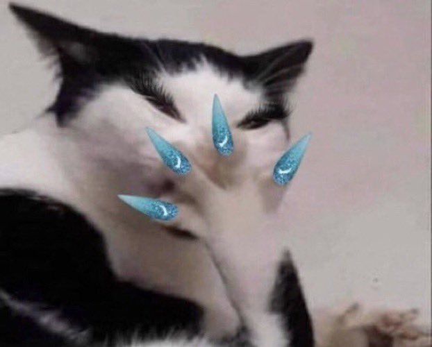 Ngồi nhìn tường như đang học triết học