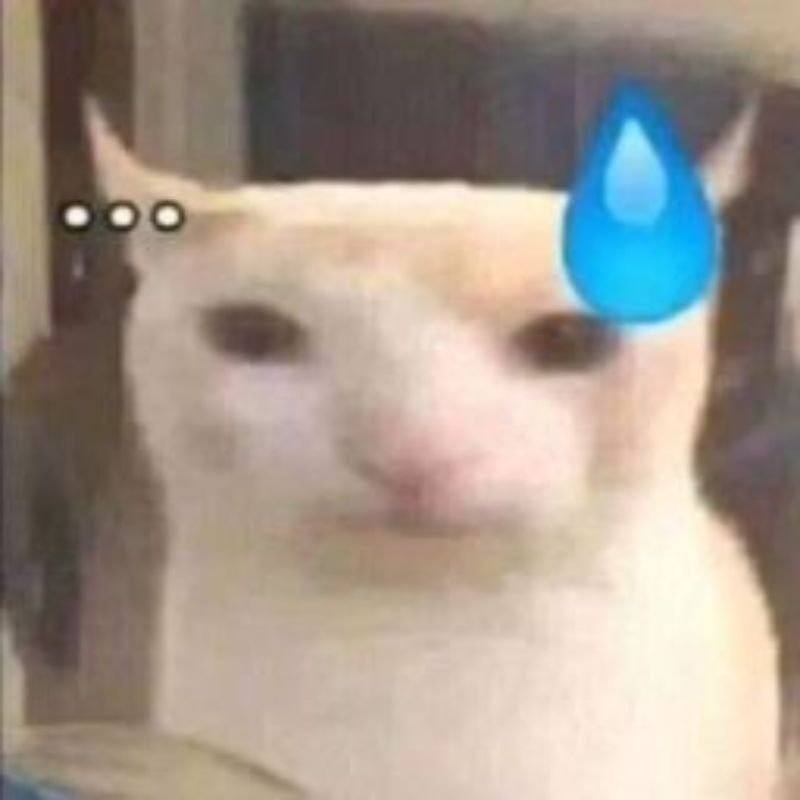 Meme mèo khinh bỉ