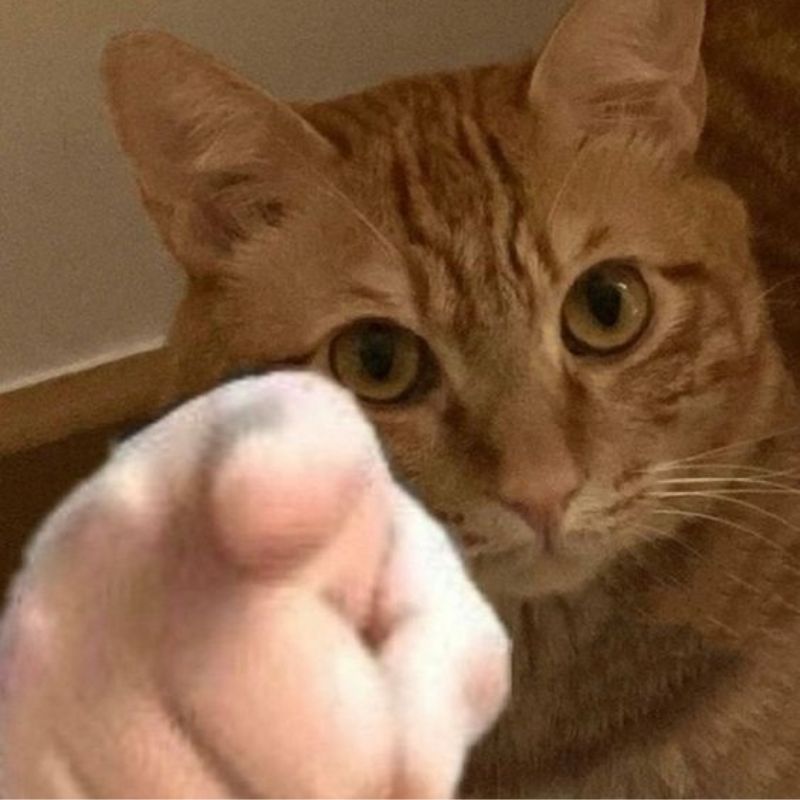 Không cần nói gì, ánh mắt đã đủ mặn