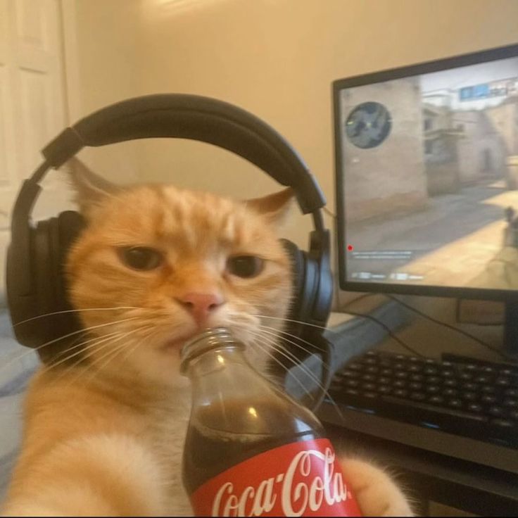 Có cơm thì tới, hết cơm thì đi